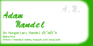 adam mandel business card